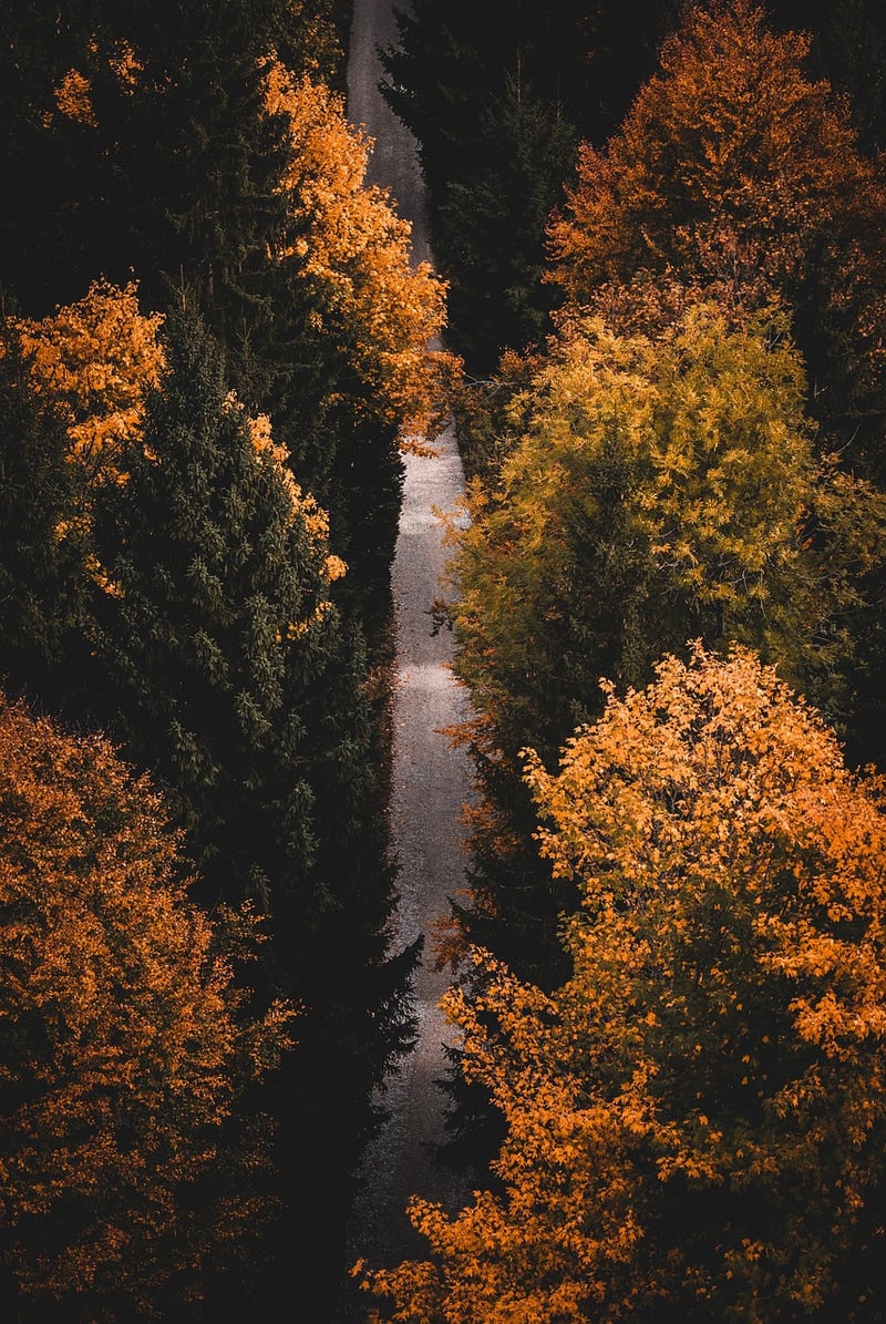Hiking Adventure